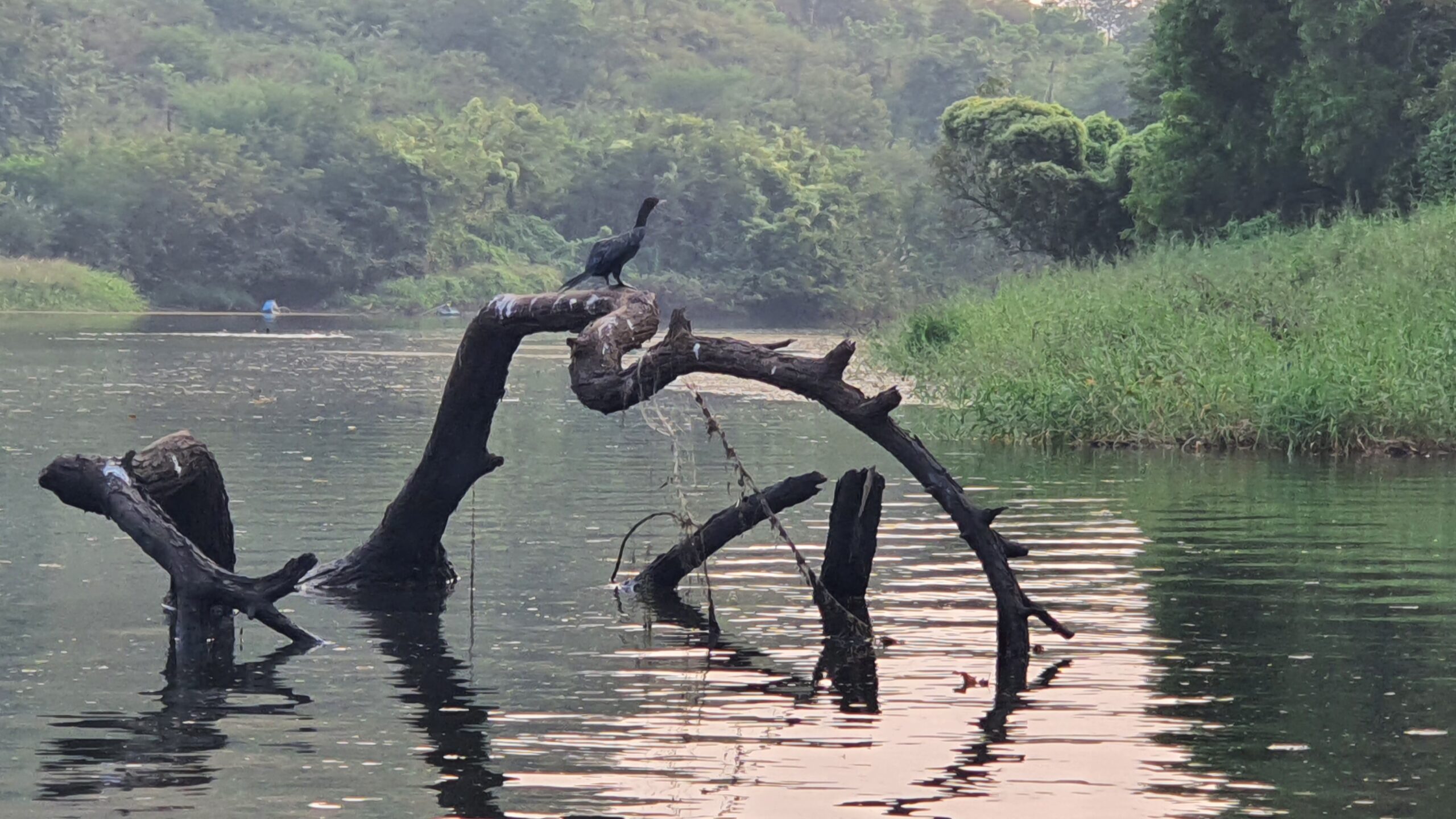 Bio-diversity Park Ravindra Gaurav Greentech pBio-diversity Park Ravindra Gurav Green tech pro Pune Maharastra India ro Pune Maharastra India