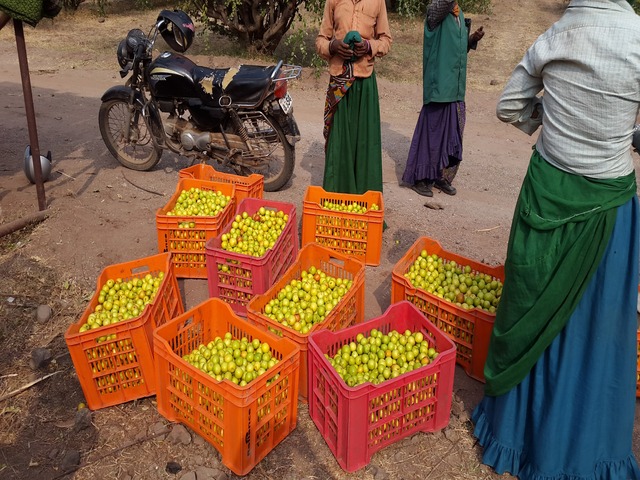 Farm House Development Ravindra Gaurav Greentech pro Pune Maharastra India (12)