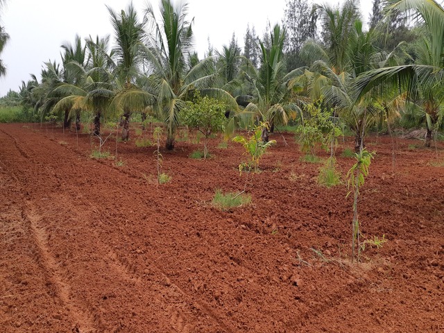 Farm House Development Ravindra Gaurav Greentech pro Pune Maharastra India (15)