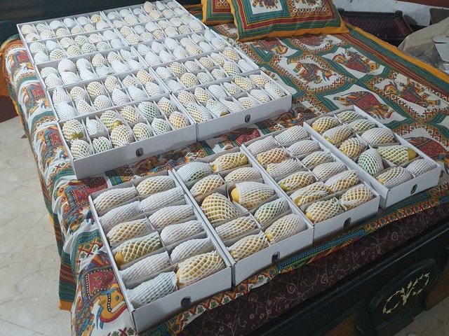 Farm House Development Ravindra Gaurav Greentech pro Pune Maharastra India (20)