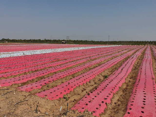 Farm House Development Ravindra Gaurav Greentech pro Pune Maharastra India (23)