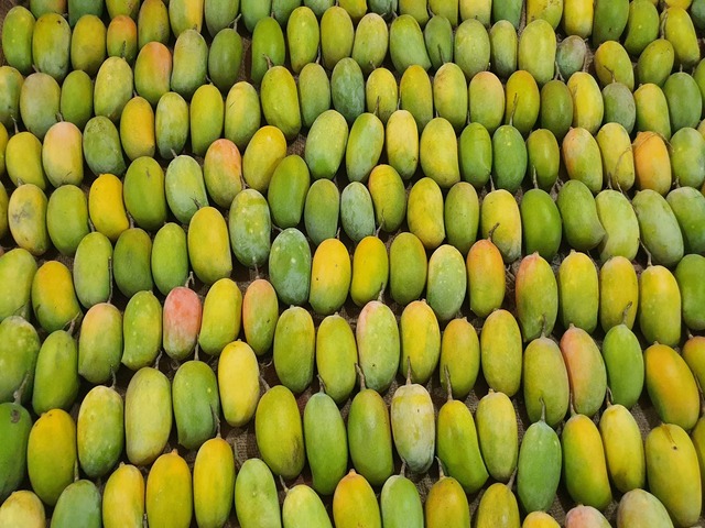 Farm House Development Ravindra Gaurav Greentech pro Pune Maharastra India (25)