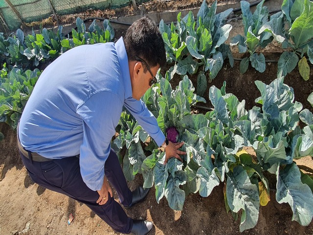 Farm House Development Ravindra Gaurav Greentech pro Pune Maharastra India (28)