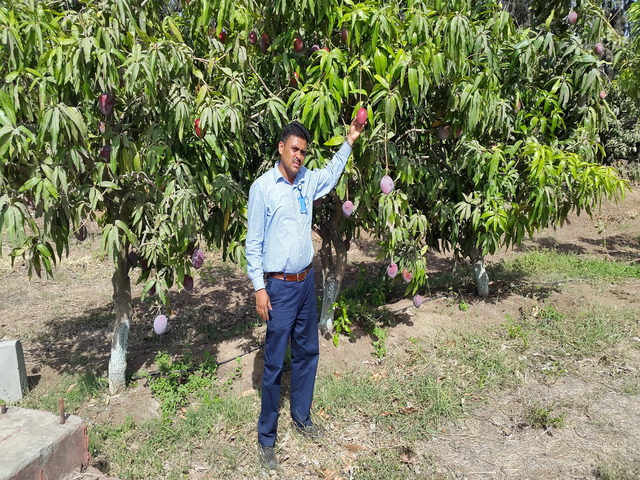 Farm House Development Ravindra Gaurav Greentech pro Pune Maharastra India