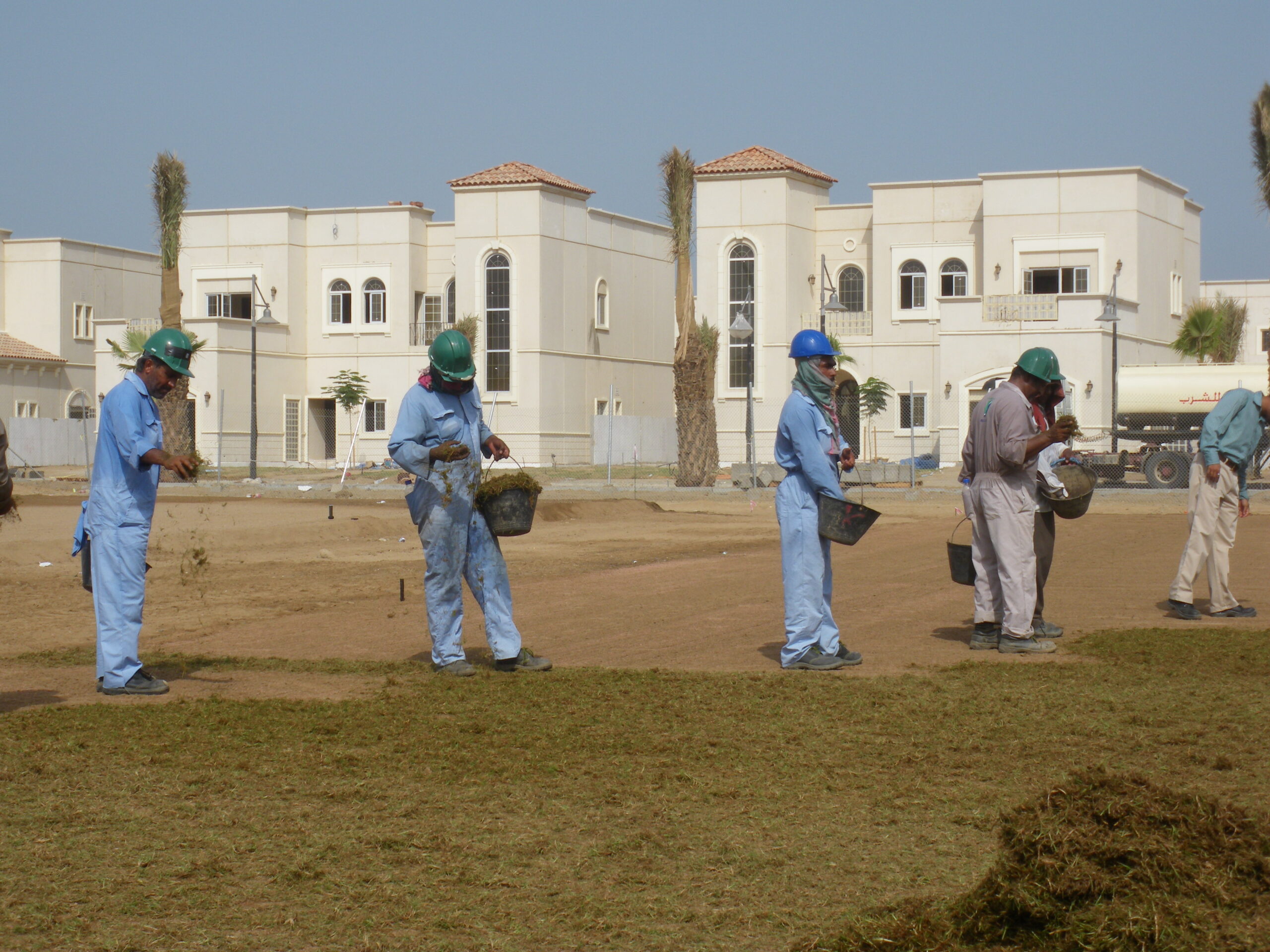 Landscape Development and Maintenance Ravindra Gurav Green tech pro Pune Maharashtra India (1)