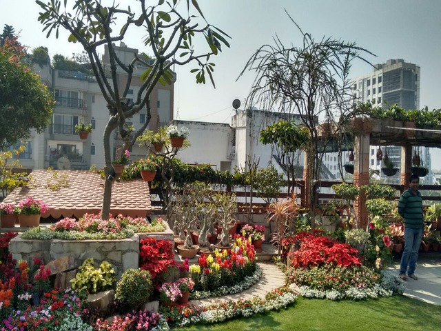 Landscape Development and Maintenance Ravindra Gurav Green tech pro Pune Maharashtra India (1)