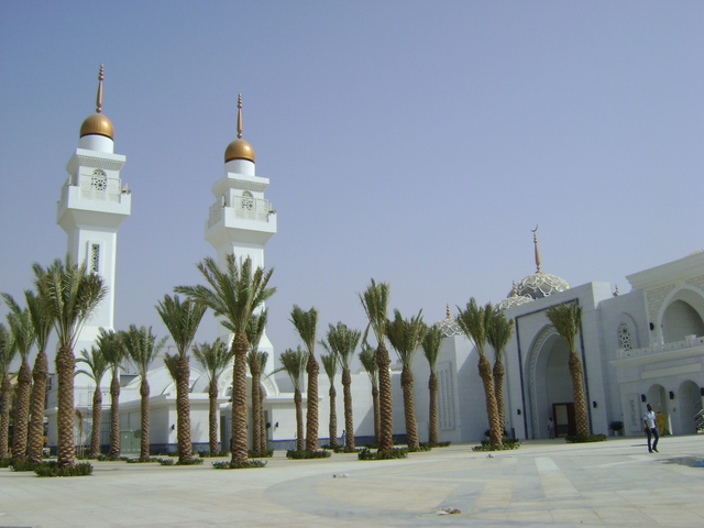 Landscape Development and Maintenance Ravindra Gurav Green tech pro Pune Maharashtra India (1)