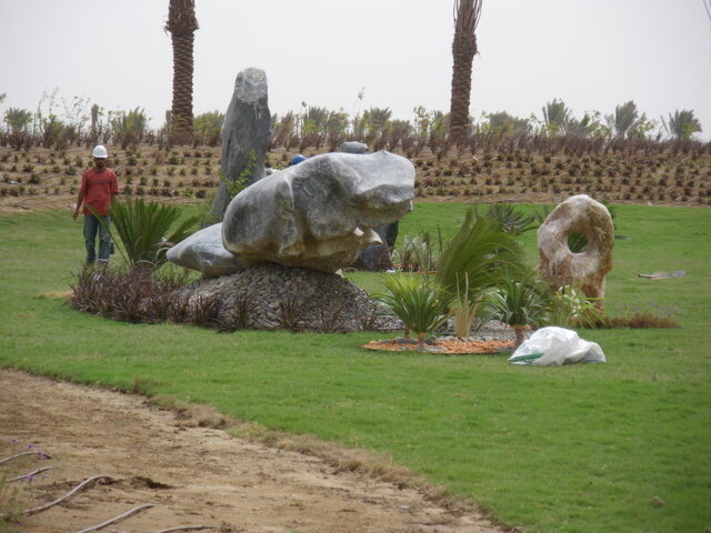 Landscape Development and Maintenance Ravindra Gurav Green tech pro Pune Maharashtra India (1)