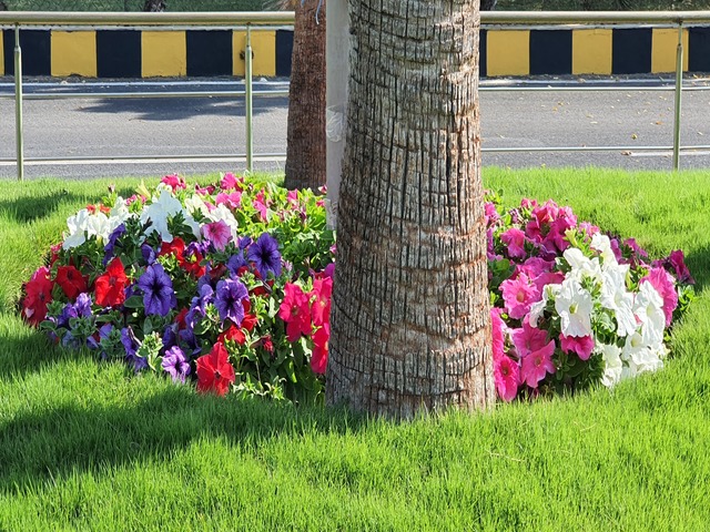 Landscape Development and Maintenance Ravindra Gurav Green tech pro Pune Maharashtra India (1)