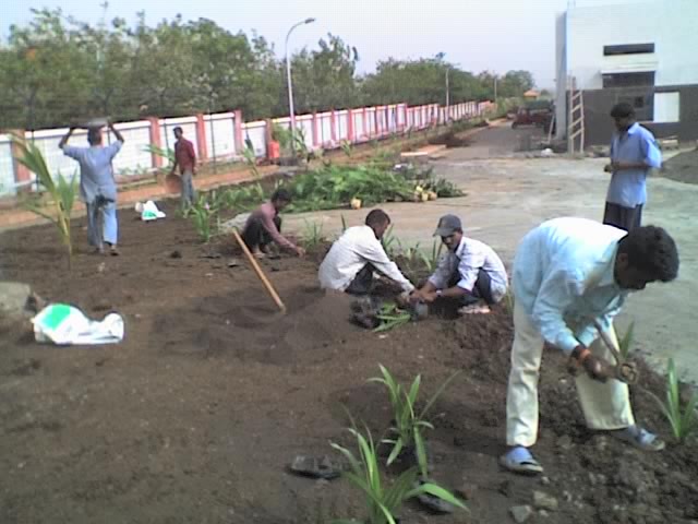 Landscape Development and Maintenance Ravindra Gurav Green tech pro Pune Maharashtra India (1)