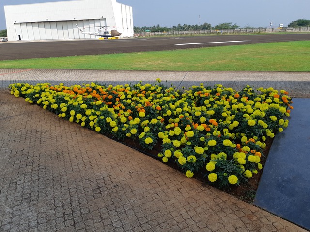 Landscape Development and Maintenance Ravindra Gurav Green tech pro Pune Maharashtra India (1)