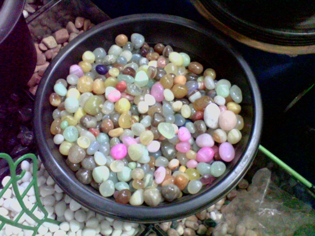 Landscaping, Gardening & Irrigation Material Suppliers Ravindra Gaurav Green tech pro Pune Maharastra India (1)