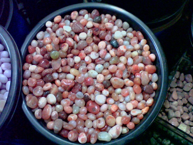 Landscaping, Gardening & Irrigation Material Suppliers Ravindra Gaurav Green tech pro Pune Maharastra India (1)