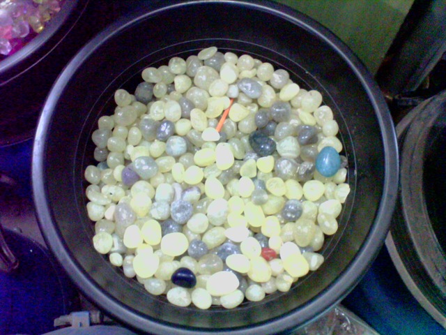 Landscaping, Gardening & Irrigation Material Suppliers Ravindra Gaurav Green tech pro Pune Maharastra India (1)