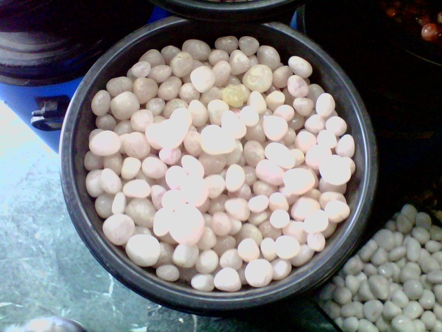 Landscaping, Gardening & Irrigation Material Suppliers Ravindra Gaurav Green tech pro Pune Maharastra India (1)