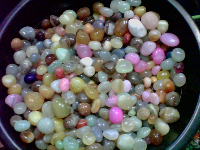 Landscaping, Gardening & Irrigation Material Suppliers Ravindra Gaurav Green tech pro Pune Maharastra India (1)