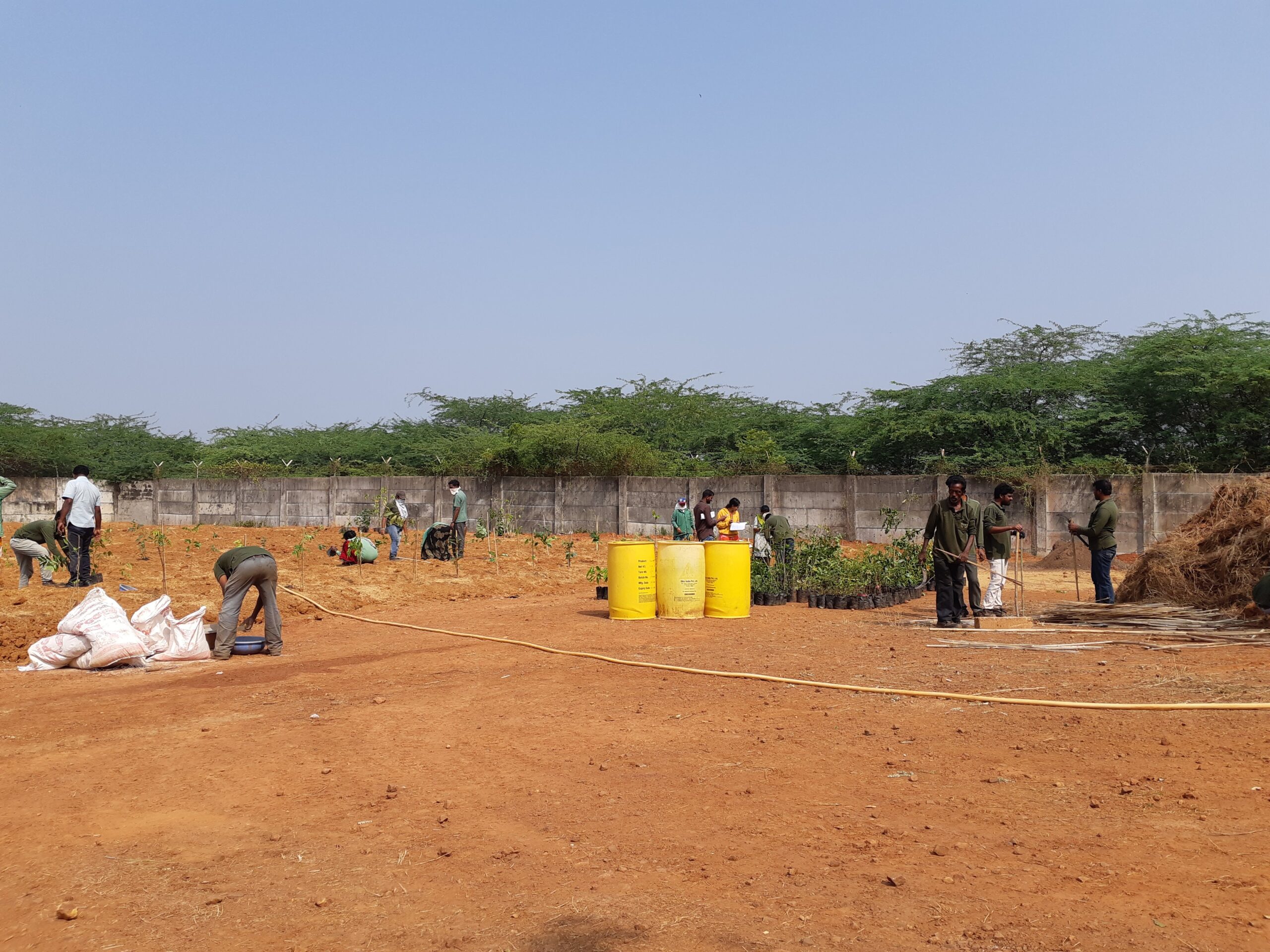 Miyawaki Forest Ravindra Gaurav Greentech pro Pune Maharastra India