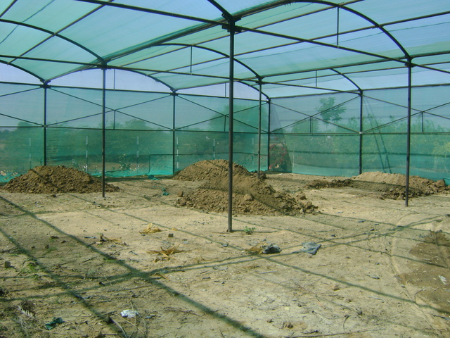 Poly-house & Green House Developments Ravindra Gurav Green tech pro Pune Maharashtra India (1)