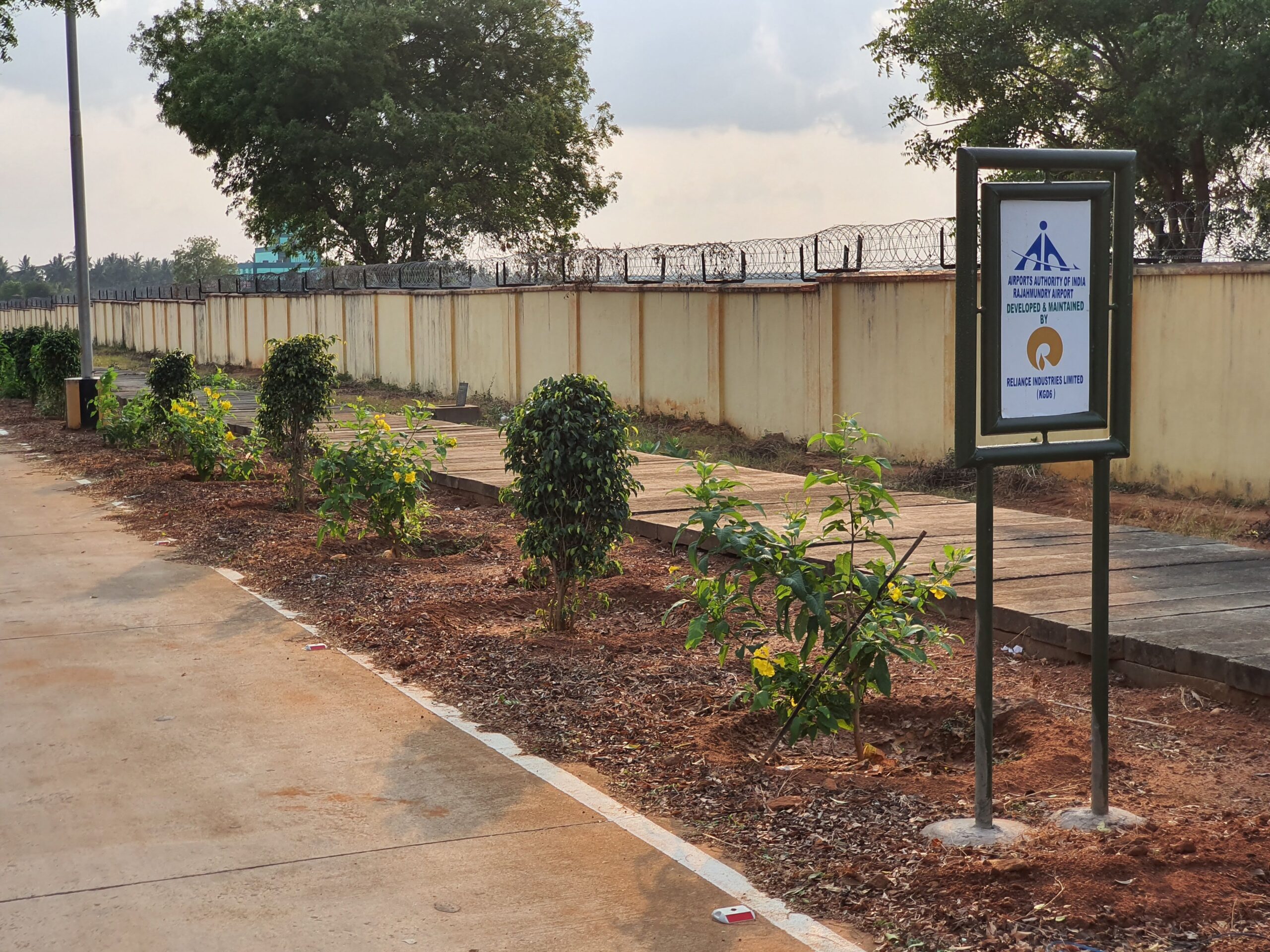 Roadside & Avenue Plantation & Replantation of Big Trees Ravindra Gaurav Green tech pro Pune Maharastra India (2)