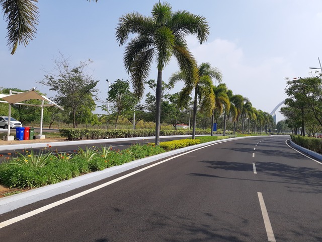 Roadside & Avenue Plantation & Replantation of Big Trees Ravindra Gaurav Greentech pro Pune Maharastra India (1)