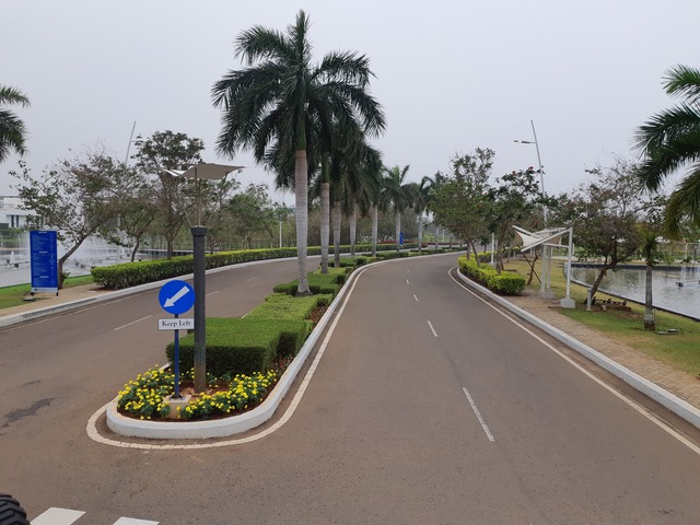 Roadside & Avenue Plantation & Replantation of Big Trees Ravindra Gaurav Greentech pro Pune Maharastra India (1)