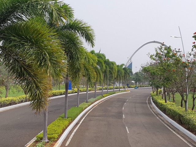 Roadside & Avenue Plantation & Replantation of Big Trees Ravindra Gaurav Greentech pro Pune Maharastra India (1)