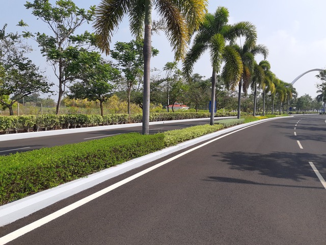 Roadside & Avenue Plantation & Replantation of Big Trees Ravindra Gaurav Greentech pro Pune Maharastra India (1)