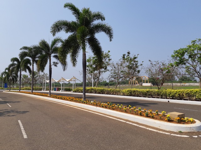 Roadside & Avenue Plantation & Replantation of Big Trees Ravindra Gaurav Greentech pro Pune Maharastra India (1)