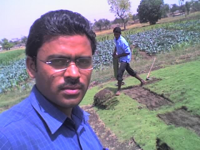 Supplier of Planting Materials like Palms, Trees, Fruit Trees, Shrubs, Ground Covers & Commercial Lawns Ravindra Gaurav Greentech pro Pune Maharastra India (1)