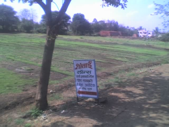 Supplier of Planting Materials like Palms, Trees, Fruit Trees, Shrubs, Ground Covers & Commercial Lawns Ravindra Gaurav Greentech pro Pune Maharastra India (1)