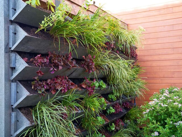 Vertical Garden Planning Designing And Development Ravindra Gurav Green tech pro Pune Maharashtra India (1)
