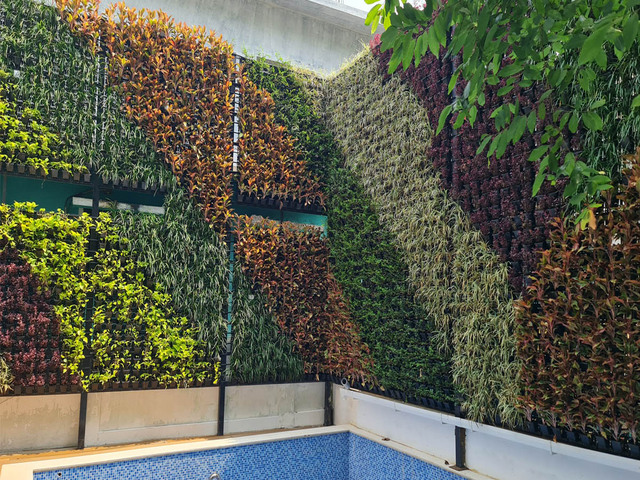 Vertical Garden Planning Designing And Development Ravindra Gurav Green tech pro Pune Maharashtra India (1)
