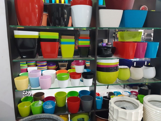 Decorative Pots & Potted Plant Suppliers Ravindra Gaurav Greentech pro Pune Maharastra India (49)