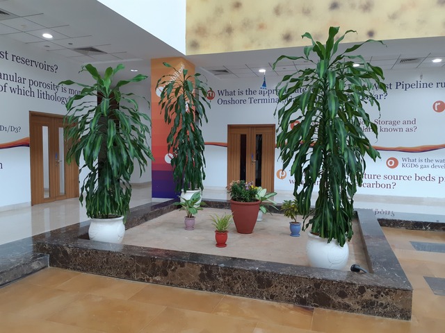 Decorative Pots & Potted Plant Suppliers Ravindra Gaurav Greentech pro Pune Maharastra India (49)