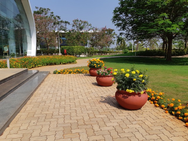 Decorative Pots & Potted Plant Suppliers Ravindra Gaurav Greentech pro Pune Maharastra India (49)