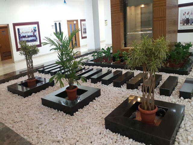 Decorative Pots & Potted Plant Suppliers Ravindra Gaurav Greentech pro Pune Maharastra India (49)