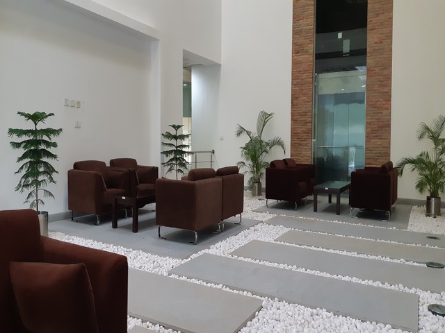 Decorative Pots & Potted Plant Suppliers Ravindra Gaurav Greentech pro Pune Maharastra India (49)