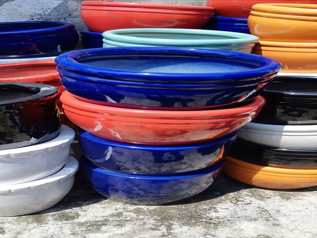 Decorative Pots & Potted Plant Suppliers Ravindra Gaurav Greentech pro Pune Maharastra India (49)