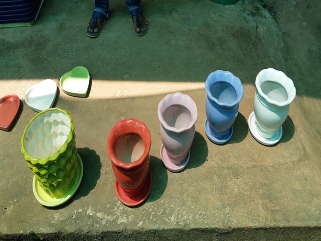 Decorative Pots & Potted Plant Suppliers Ravindra Gaurav Greentech pro Pune Maharastra India (49)