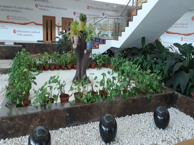 Decorative Pots & Potted Plant Suppliers Ravindra Gaurav Greentech pro Pune Maharastra India (49)Decorative Pots & Potted Plant Suppliers Ravindra Gaurav Greentech pro Pune Maharastra India (49)