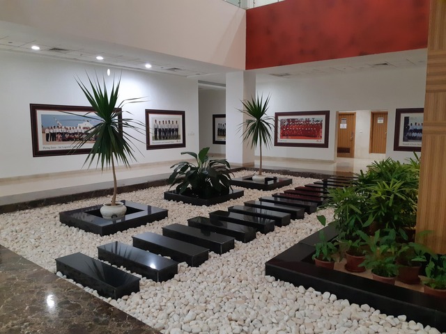 Decorative Pots & Potted Plant Suppliers Ravindra Gaurav Greentech pro Pune Maharastra India (49)