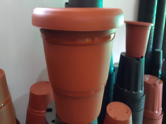 Decorative Pots & Potted Plant Suppliers Ravindra Gaurav Greentech pro Pune Maharastra India (49)