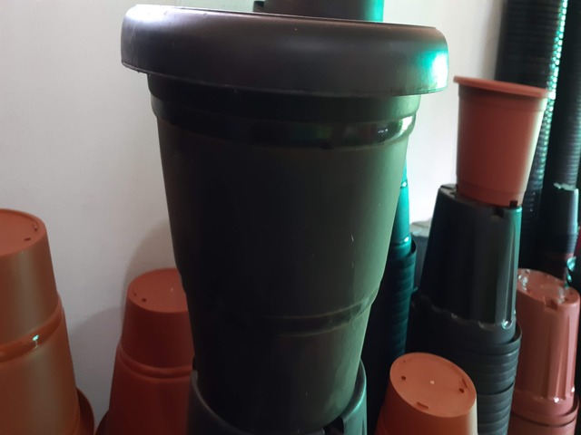 Decorative Pots & Potted Plant Suppliers Ravindra Gaurav Greentech pro Pune Maharastra India (49)