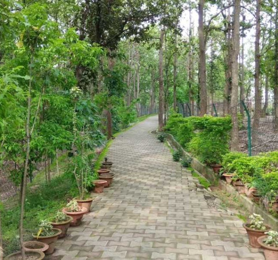 Bio Diversity-Center