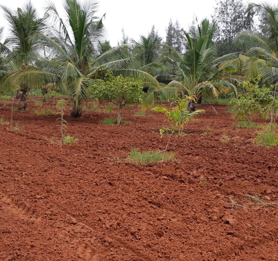 Farm House Development Ravindra Gaurav Greentech pro Pune Maharastra India (4)