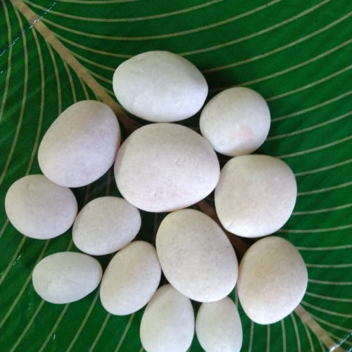 Landscaping, Gardening & Irrigation Material Suppliers Ravindra Gaurav Green tech pro Pune Maharastra India (1)