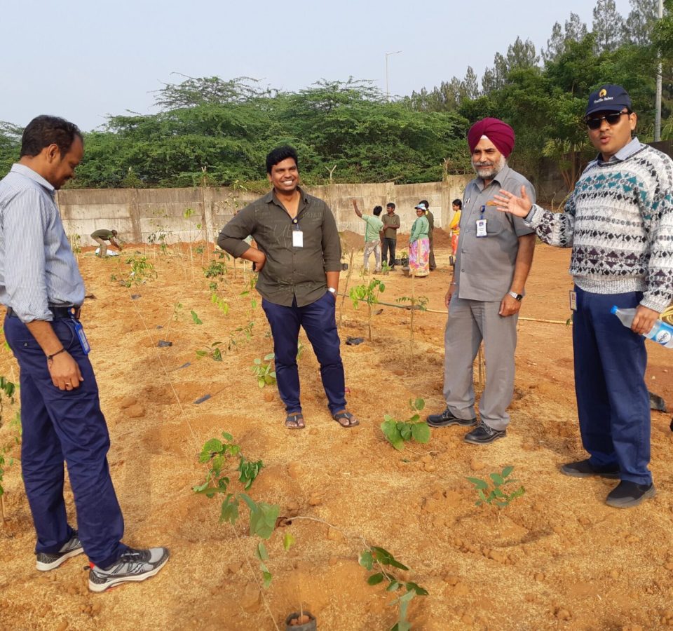 Miyawaki Forest Ravindra Gaurav Greentech pro Pune Maharastra India
