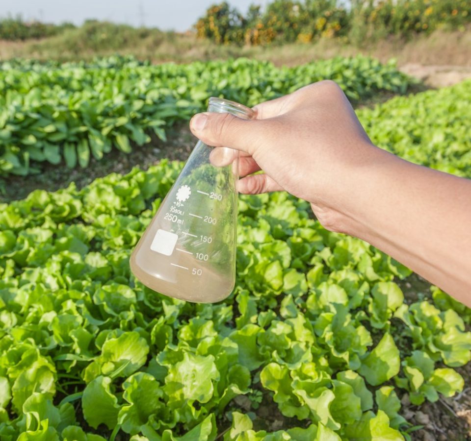 Soil & Water Testing And Recommendations Ravindra Gurav Green tech pro Pune Maharashtra India