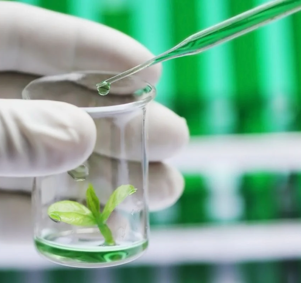 Tissue Culture lab set-up & Operation Ravindra Gurav Greentech pro Pune Maharastra India