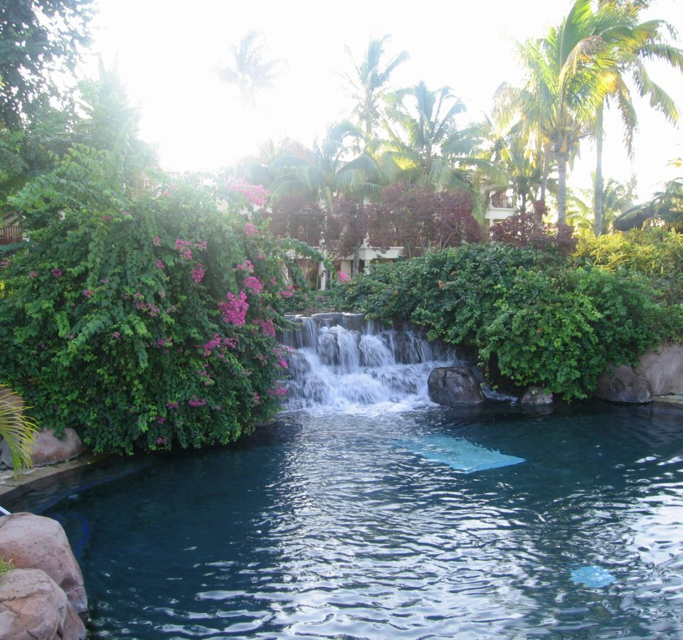 Waterbodies & Fountains Ravindra Gaurav Greentech pro Pune Maharastra India (1)